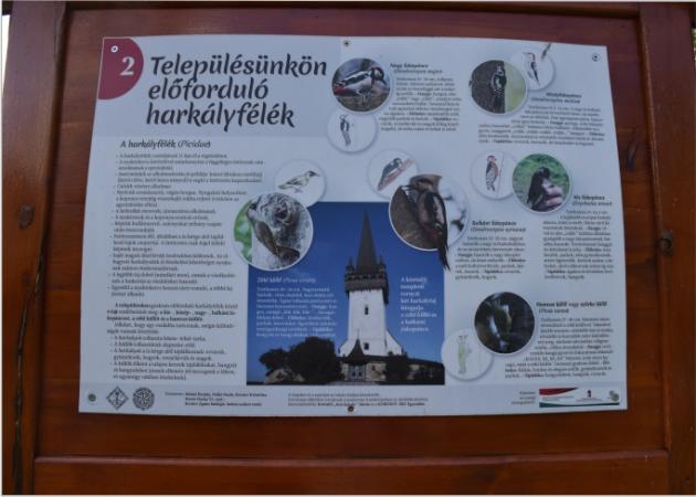 Eligazító tábla